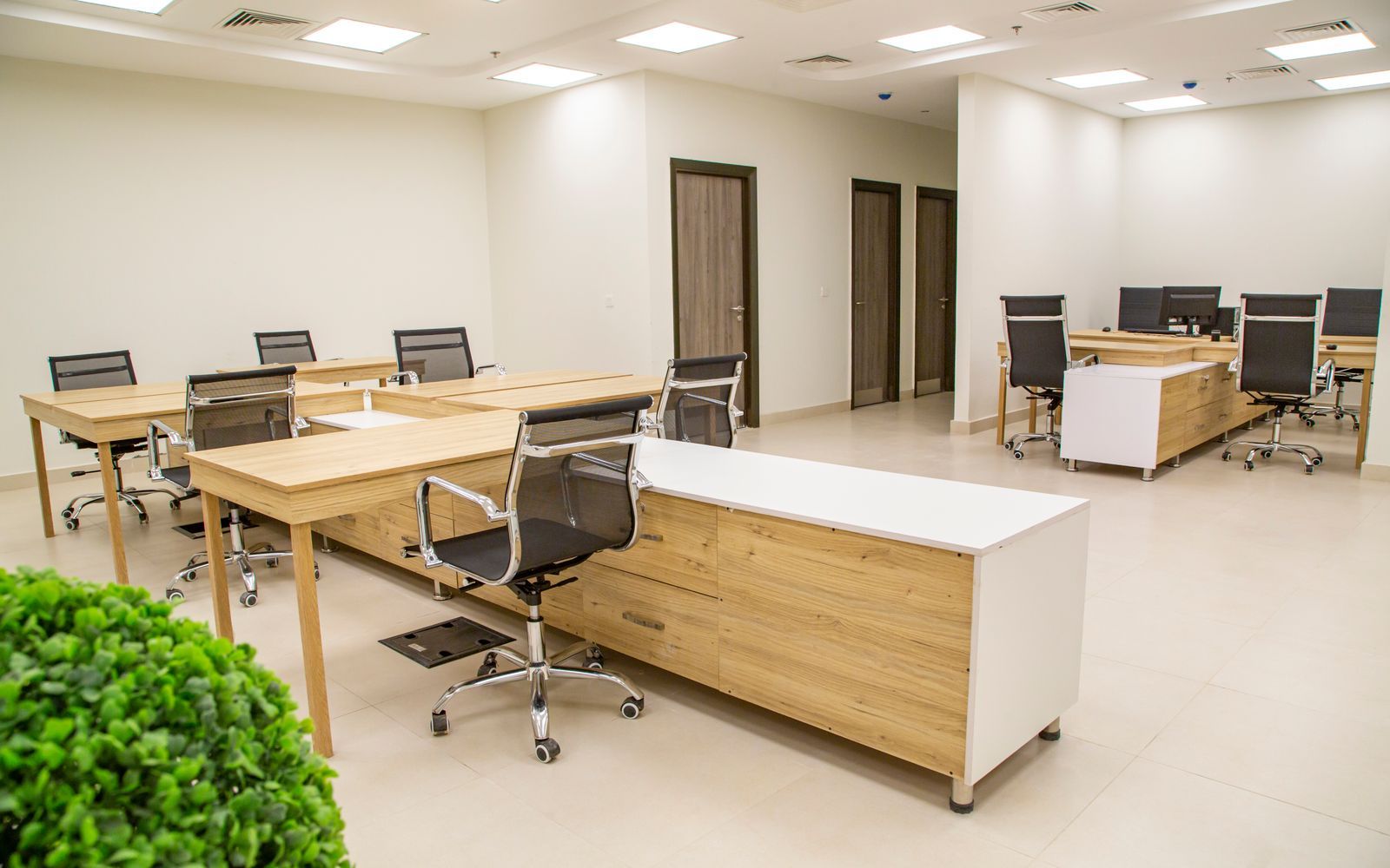 Modern office fitted with desks and ergonomic chairs
